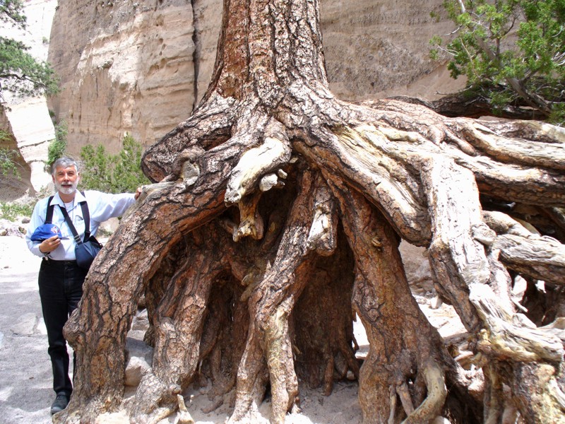 Tent rocks 3